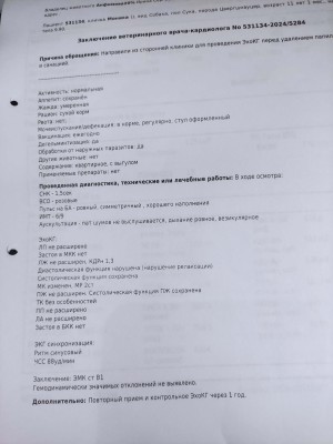 IMG_20241003_083150.jpg
