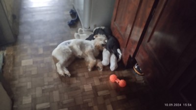 Изображение WhatsApp 2024-10-07 в 15.40.54_f263f15d.jpg