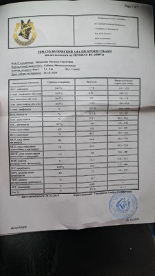 IMG_20241026_094402_513.jpg