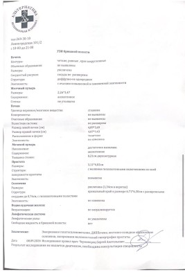 IMG-20241119-WA0006.jpg
