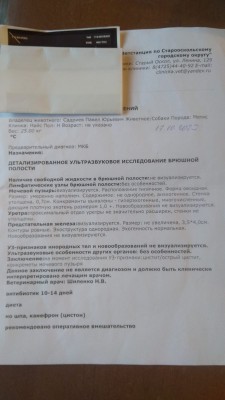 IMG-20241124-WA0003.jpg