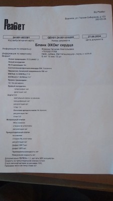 IMG-20241124-WA0006.jpg