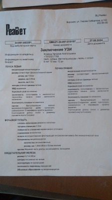 IMG-20241124-WA0007.jpg