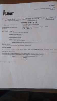 IMG-20241124-WA0011.jpg