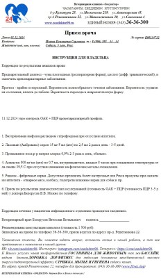 IMG-20241206-WA0019.jpg