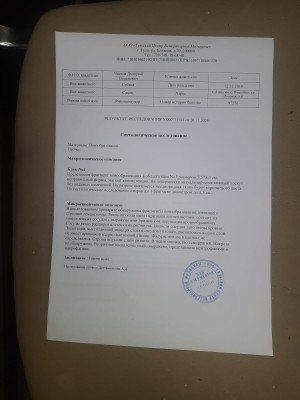 IMG-20241207-WA0008.jpg