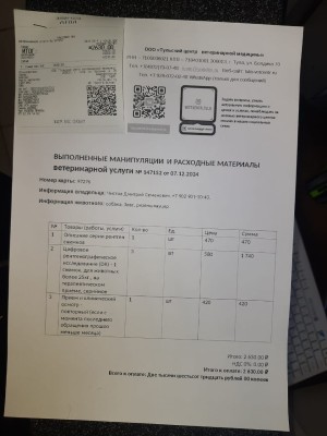 WhatsApp Image 2024-12-07 at 15.46.01.jpeg