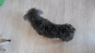 вид сверху