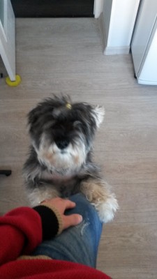 20150416_184502.jpg
