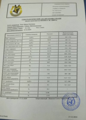 MyBAqkqKZBzLZwZxijczKUuC1U1EybjKE10MorJsGVzy1OXC07_MAAoY-SgXlo8N9jFHQqbe7xHsOhU67zUhyHQT.jpg