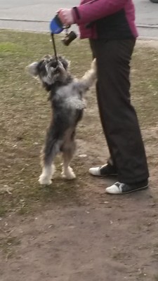 20150416_193224.jpg
