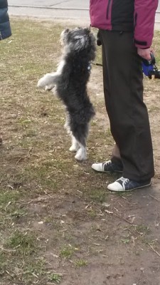 20150416_193737.jpg