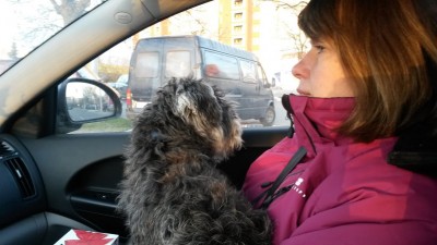 добилась своего