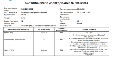 Снимок экрана (923).png