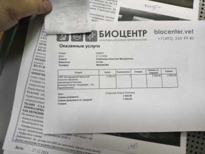 IMG_20241228_075006.jpg