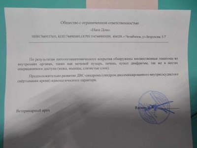 4XpYlj-nNxalJ-YZKNfECUaJyAP-pfspGMVIIN8wMcGpaFaLYr1_vmYtZ20V7PKDs16gVfGN578PQAXK0euMTKOW.jpg