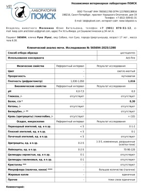 IMG-20250129-WA0004.jpg