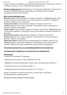 IMG_20250208_150333.jpg
