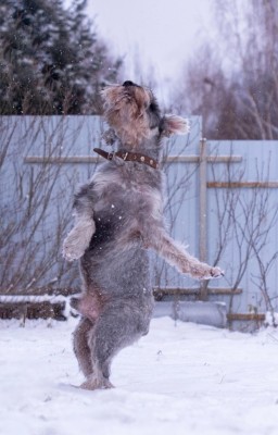 LYjwEU6bzcwk9qgWWjKSIrWHpZaoOY4K4WW4c8u5H84c4k4u-AJ05XxRgLyorKAUGXQqGH_WYGREI6POoFY_z0lA.jpg