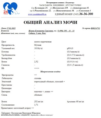 IMG-20250217-WA0016.jpg