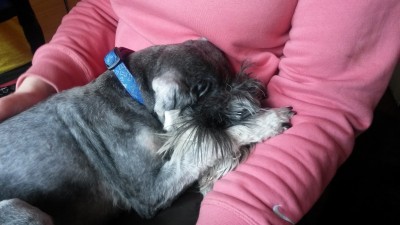 20150420_131040.jpg
