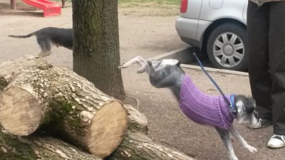 В полете