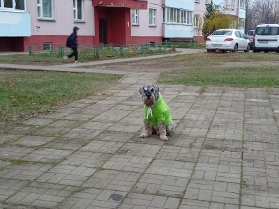 IMG_20241113_082259.jpg
