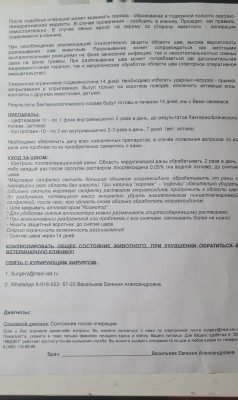 WhatsApp Image 2025-04-12 at 22.33.08.jpeg