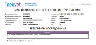 2025-05-04_12h24_21.png