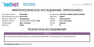 2025-05-04_12h13_48.png