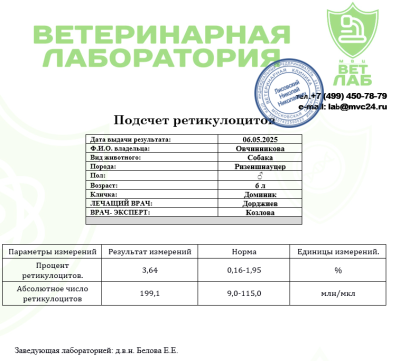 2025-05-07_08h29_29.png