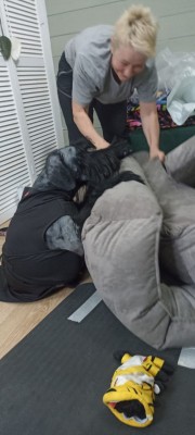 IMG_20250515_120454_883.jpg