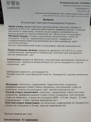 WhatsApp Image 2025-05-22 at 21.13.27 (1).jpeg