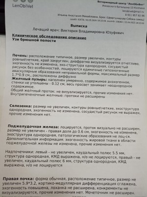 WhatsApp Image 2025-05-22 at 21.13.27.jpeg