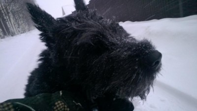 WP_20130205_010.jpg