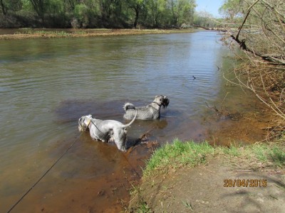 IMG_6875 copy.jpg