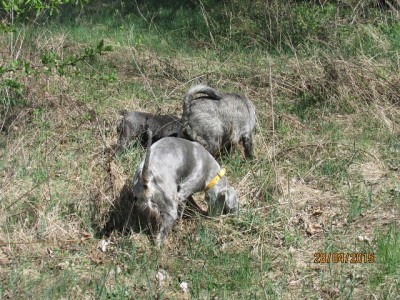 IMG_6890 copy.jpg