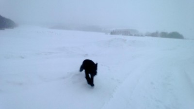 WP_20130205_012.jpg