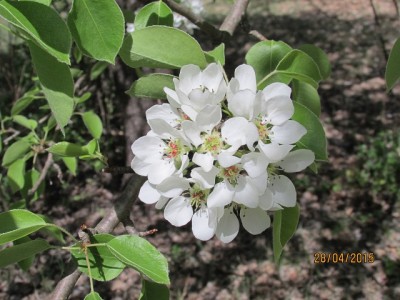 IMG_6828 copy.jpg