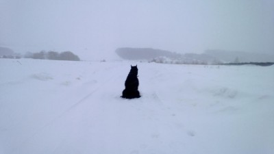 WP_20130205_015.jpg