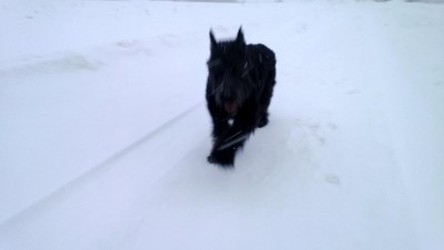 WP_20130205_019.jpg