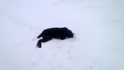 WP_20130205_022.jpg