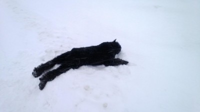 WP_20130205_023.jpg