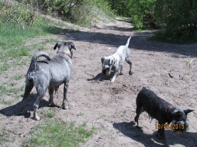 IMG_7244copy.jpg