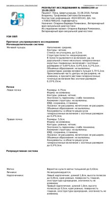 IMG_20250919_140248.jpg