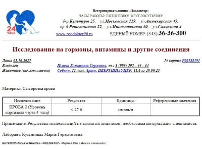 IMG-20251005-WA0005.jpg