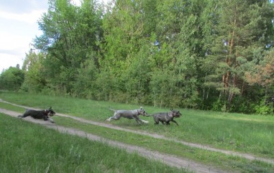 IMG_7519copy.jpg