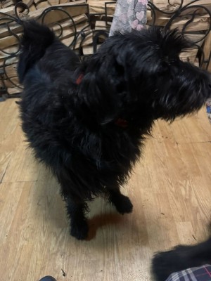 WhatsApp Image 2025-11-11 at 8.07.41 PM.jpeg