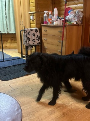 WhatsApp Image 2025-11-11 at 8.07.42 PM (1).jpeg