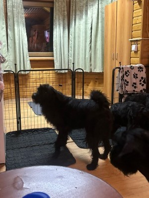 WhatsApp Image 2025-11-11 at 8.07.42 PM.jpeg